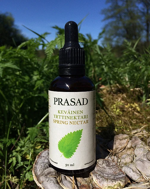 Keväinen yrttinektari 50ml - Prasad