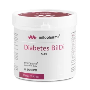 DR. ENZMANN MSE Diabetes BilDi MAX (90 kapselia)