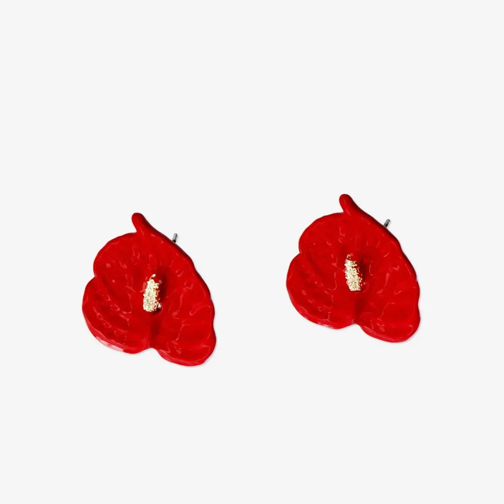 Anthurium korvakorut
