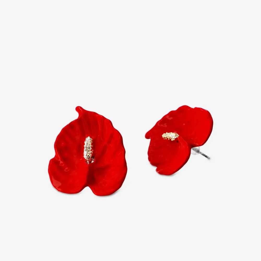 Anthurium korvakorut