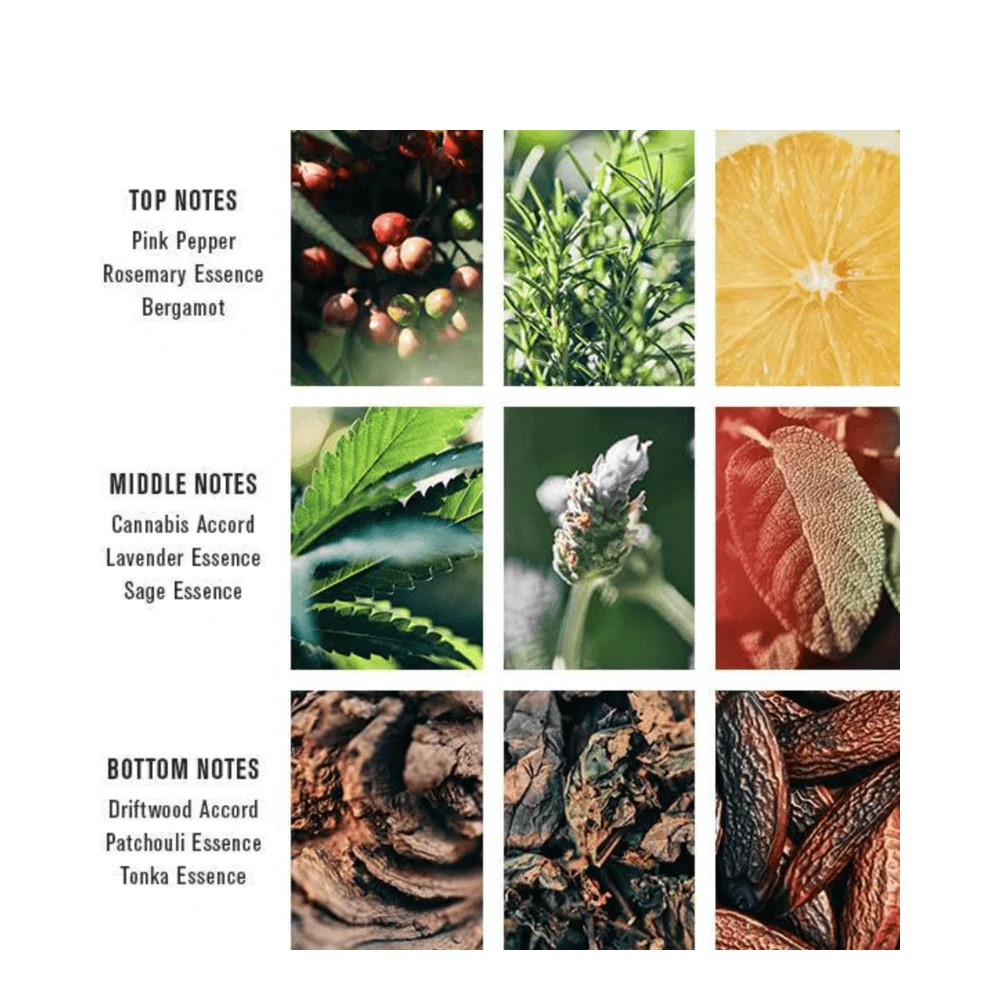 Kalifornian kannabis Baxter Eau de Parfum Baxter of California