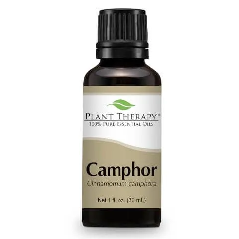 Camphor White valkoinen kamferi eteerinen öljy 30 ml – Plant Therapy