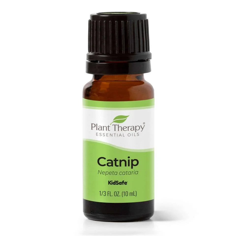 Catnip kissanminttu eteerinen öljy 10ml - Plant Therapy