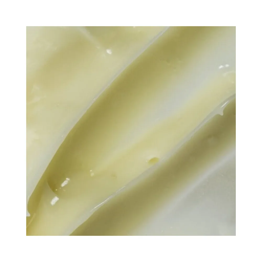 Circadad Renewal Eye Cream Circadia