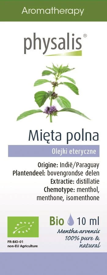 ECHTES MINZÖL (ACKERMUNT) BIO 10 ml - PHYSALIS
