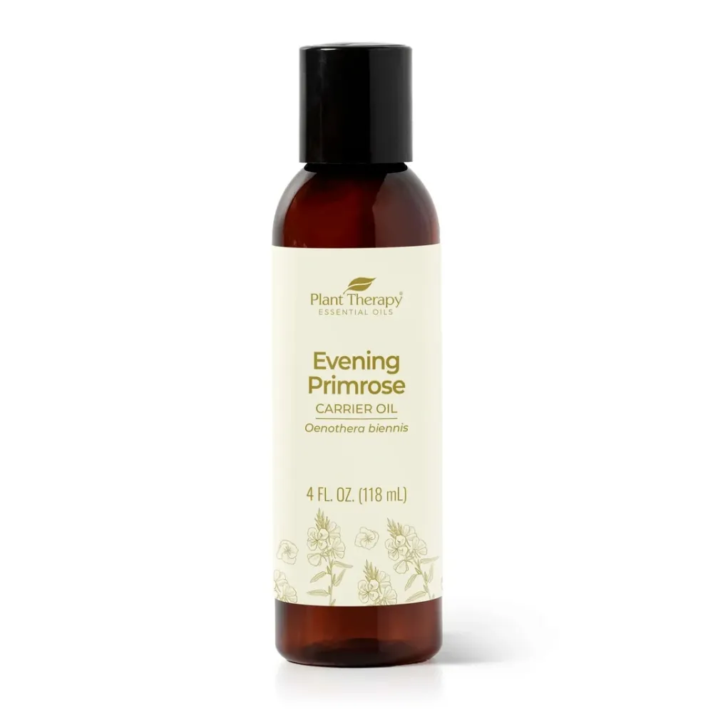 Evening Primrose iltahelokki hierontaöljy 120ml - Plant Therapy