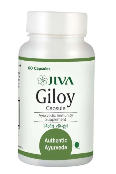 Giloy 60 kapselia hengityselimistö JIVA AYURVEDA
