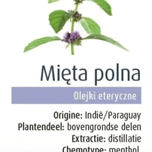 IKIVIHREÄ MINTTUÖLJY (ACKERMUNT) LUOMU 10 ml - PHYSALIS
