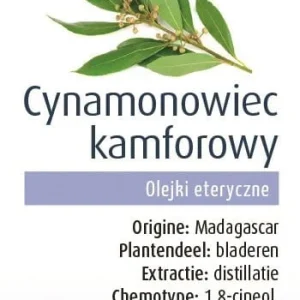Kamporikaneliöljy (Ravintsara) BIO 10 ml - PHYSALIS