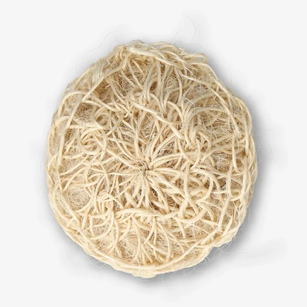 Kylpysieni