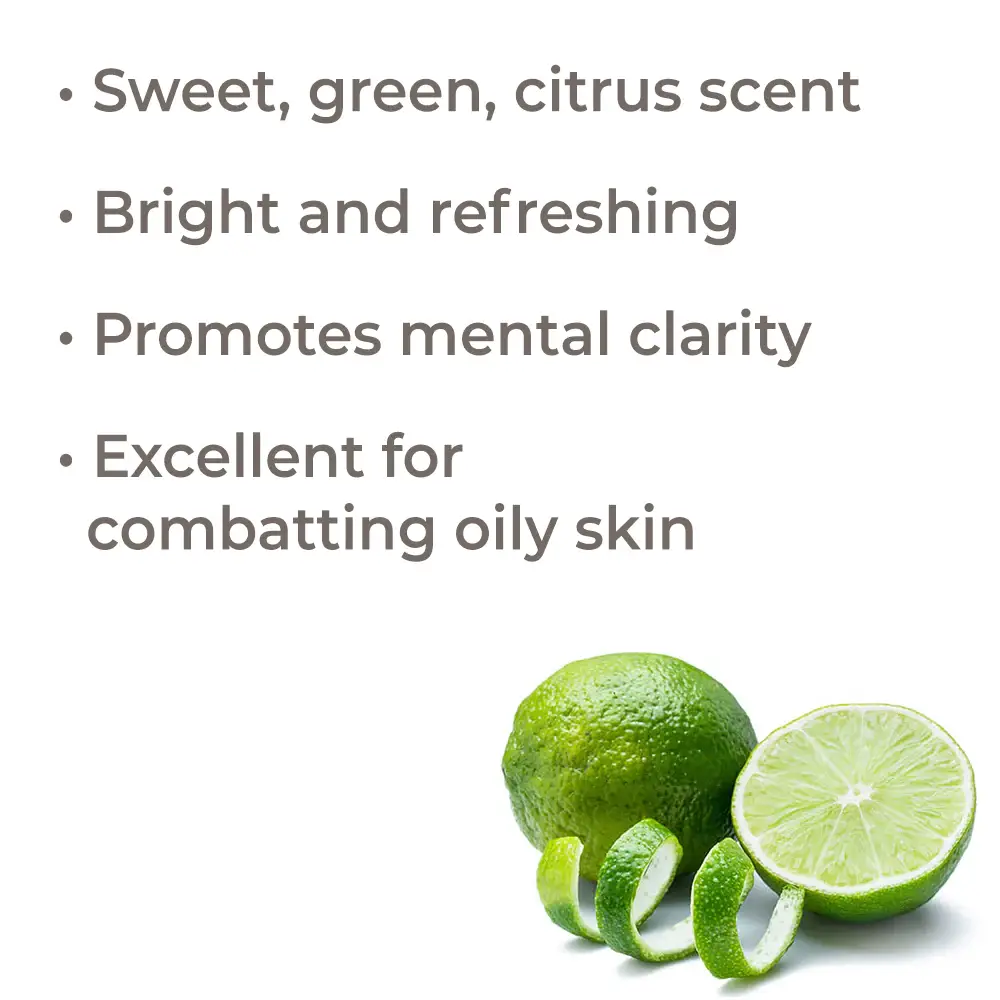 Lime Steam Distilled Eteerinen öljy 10 ml - Plant Therapy