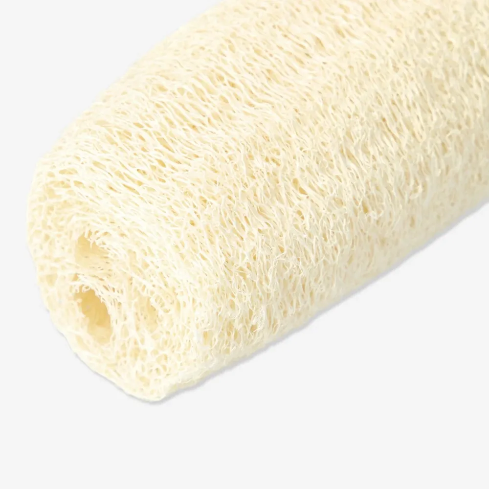 Luonnollinen sieni