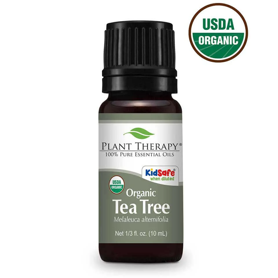 Organic Tea Tree eteerinen öljy 10ml - Plant Therapy