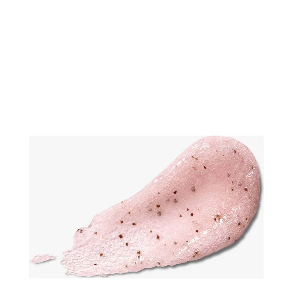 Palkkahenkilö Payot