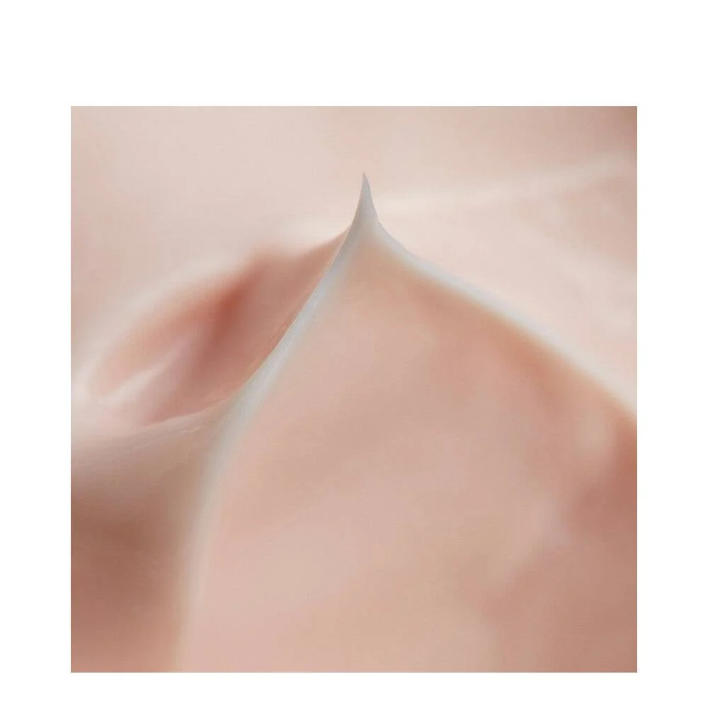 Phytomer pioniere xmf ylin kerma