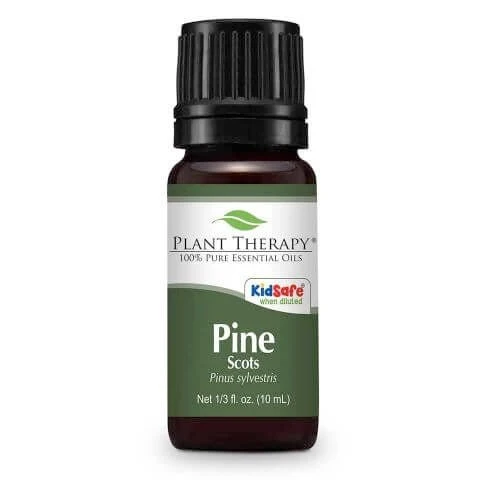 Pine Scots eteerinen öljy 10ml - Plant Therapy