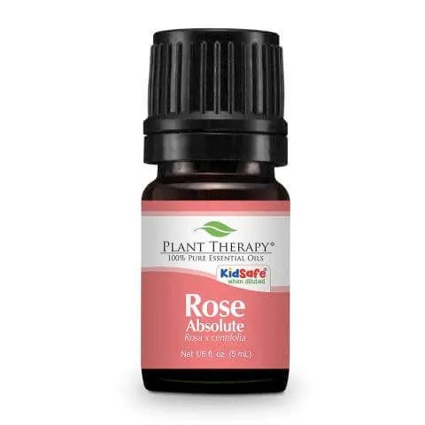 Rose Absolute eteerinen öljy 5ml - Plant Therapy