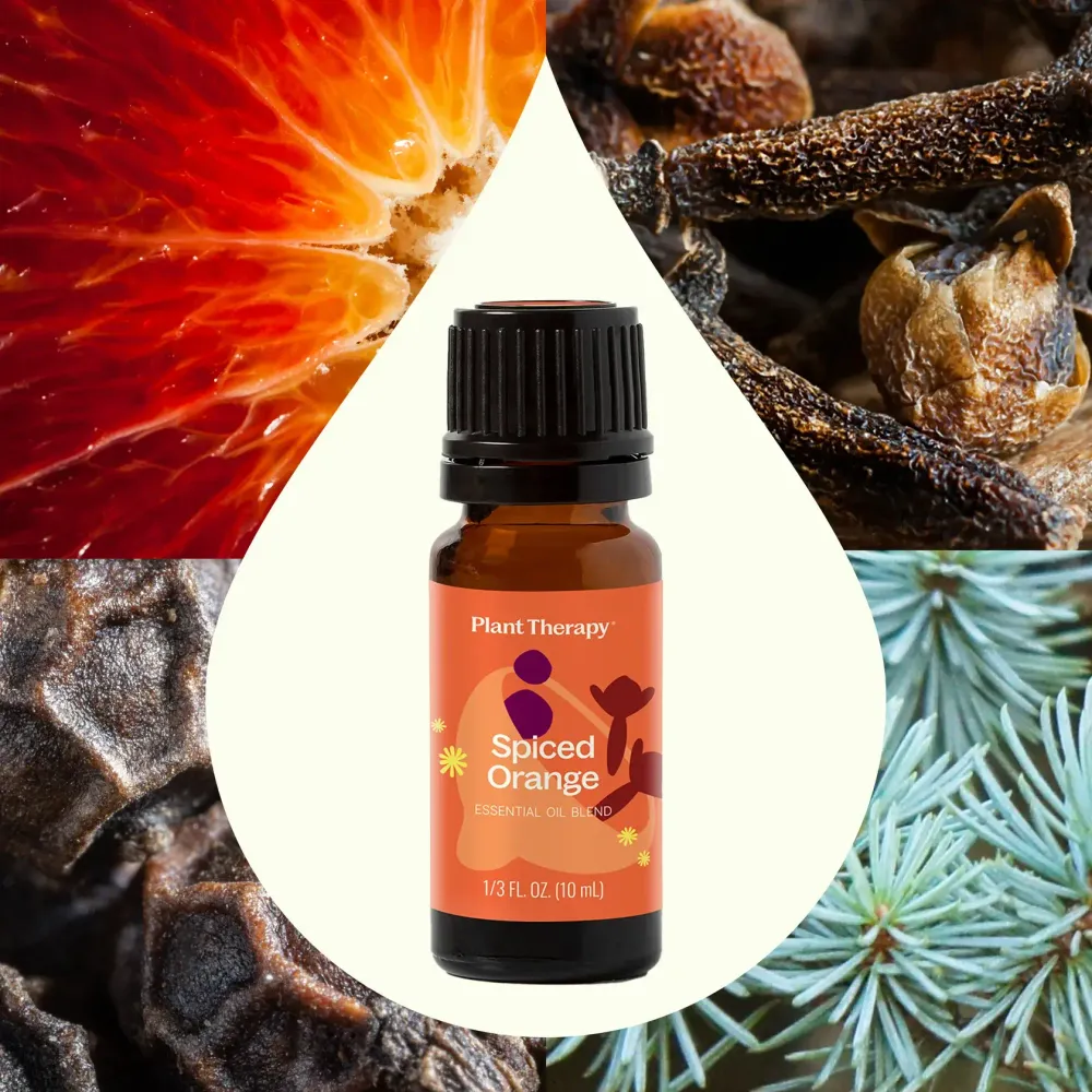 Spiced Orange Eteerinen öljysekoitus 10 ml - Plant Therapy