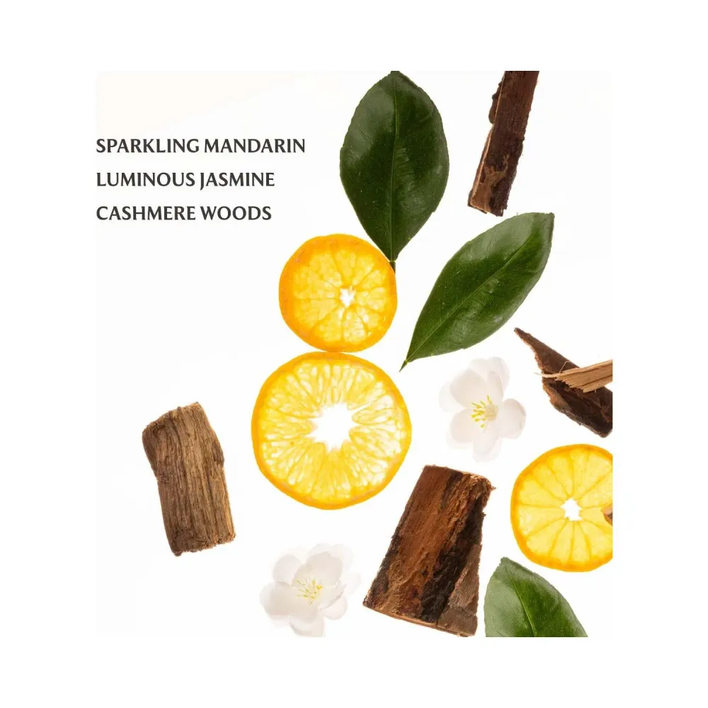 Touchland Power Essence -vartalo- ja hiustuoksu - Cashmere Woods