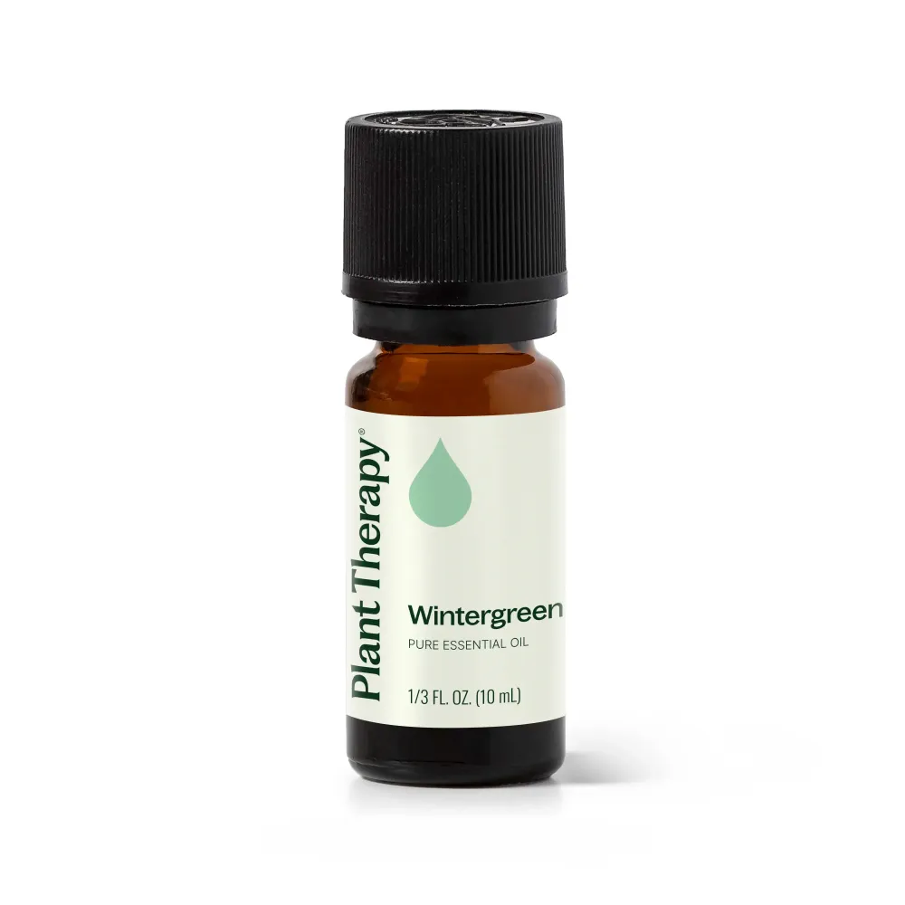Wintergreen Eteerinen öljy 10 ml - Plant Therapy