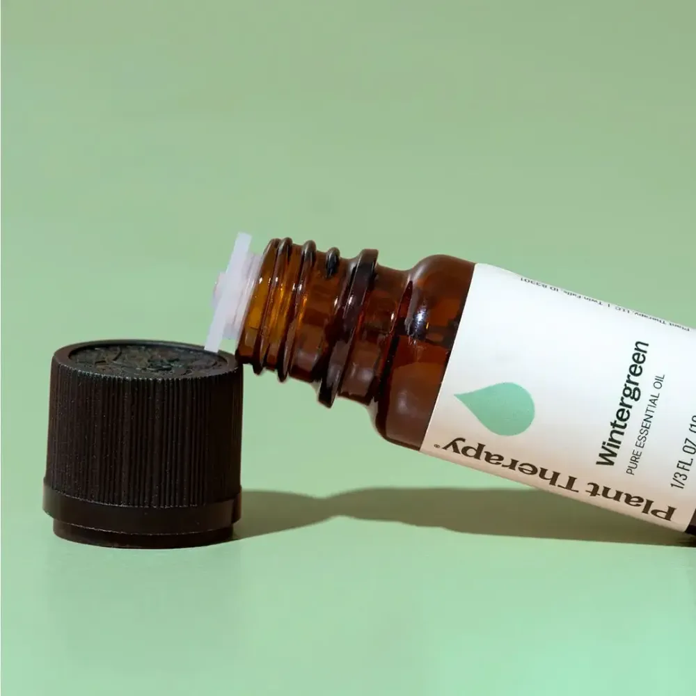 Wintergreen Eteerinen öljy 10 ml - Plant Therapy