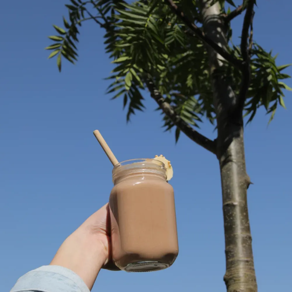 Chocolate Performance Protein Powder - vegaaninen ja luomu
