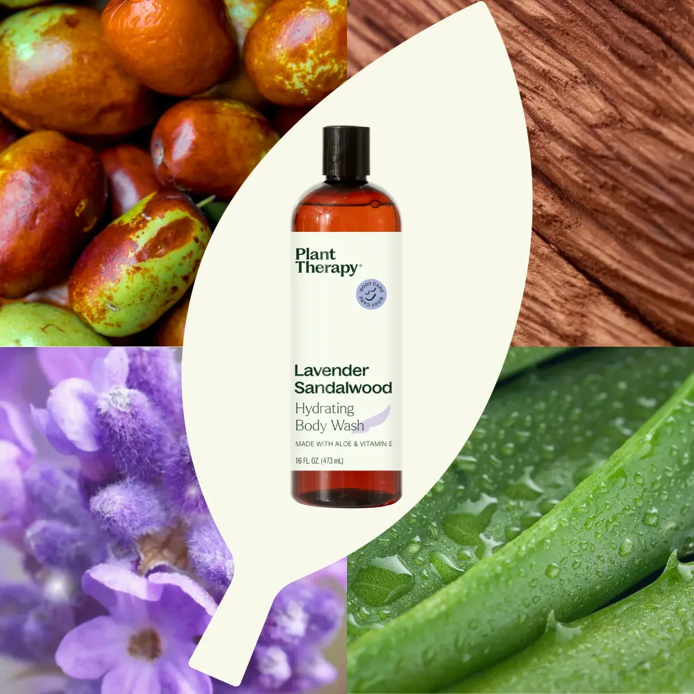 Lavender Sandalwood Suihkusaippua, 473ml - Plant Therapy